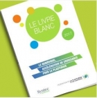 Le numérique : accélérateur de croissance pour la plasturgie - BdL Conseil