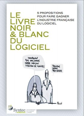 Le livre Noir & Blanc du logiciel du Syntec Numérique - BdL Conseil